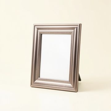 Pewter Picture Frame (synthetic illustration; no displayed measurements)