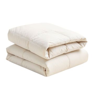 Aeden Comforter Set