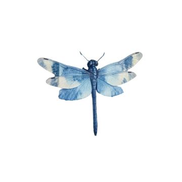 Karnig Dragonfly Watercolor Wall Décor