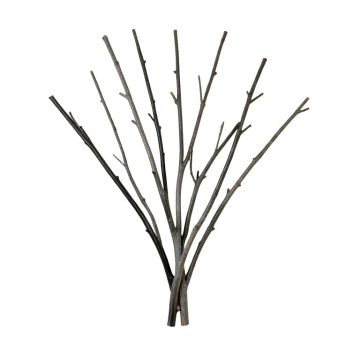 Natural Twigs And Branches Wall Décor