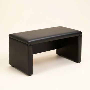 Ecenaz Shoe Storage Bench (synthetic illustration; no displayed measurements)