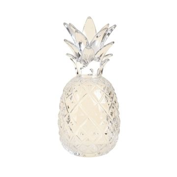 Sharo Pina Md Crystal Pineapple