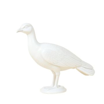 Seaver Peacock