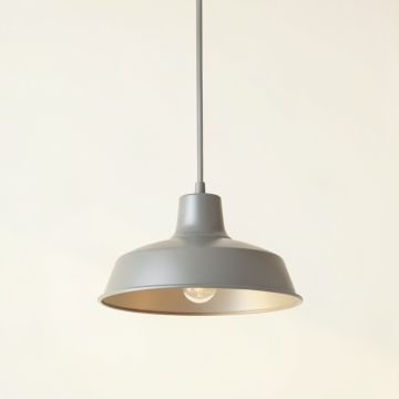 Ash Crossing Pendant Light Suspended From One Plain Cable - Gray (synthetic illustration; no displayed measurements)