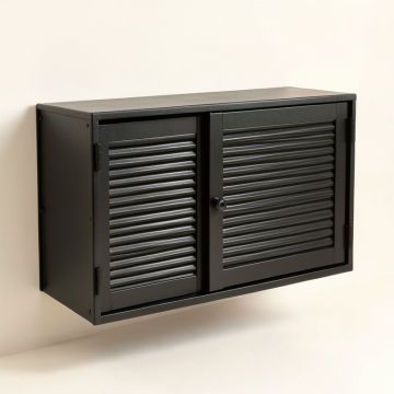 Briar Arc Wall-Mounted Entry Cabinet (synthetic illustration; no displayed measurements)