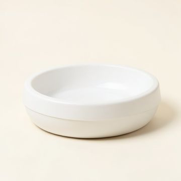 Healthy Pet Automatic Water Dish (synthetic illustration; no displayed measurements)