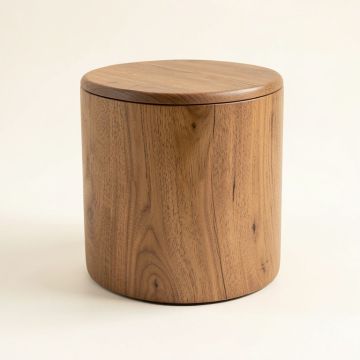 Anicuta Drum End Table (synthetic illustration; no displayed measurements)