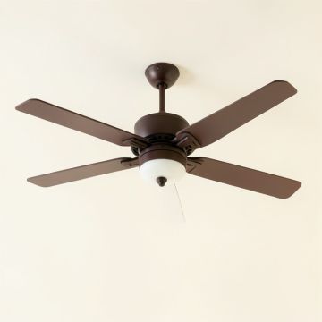 62 '' Jorge 5 - Blade Standard Ceiling Fan (synthetic illustration; no displayed measurements)