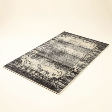 Aikens Charcoal/Ivory Rug (synthetic illustration; no displayed measurements)