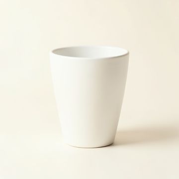 Spruce Crossing Empty Planter - White (synthetic illustration; no displayed measurements)