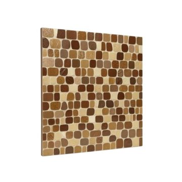 10 '' X 10 '' Vinyl Peel & Stick Mosaic Tile In Brown/Khaki/Beige