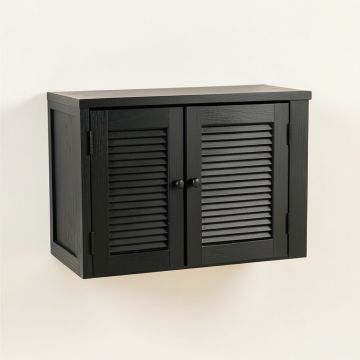 Reed Branch Wall-Mounted Entry Cabinet - Black (synthetic illustration; no displayed measurements)