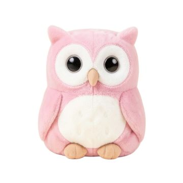Shreyas Gift Set Owl