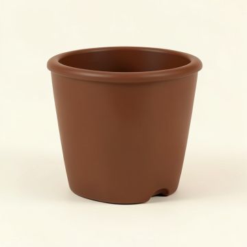 Owens Self-Watering Plastic Elevated Planter (synthetic illustration; no displayed measurements)