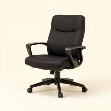 Holmgren Pillow Task Chair (synthetic illustration; no displayed measurements)