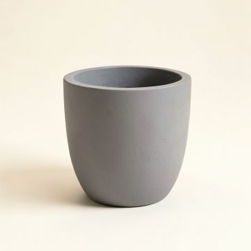 Arimo Resin Pot Planter (synthetic illustration; no displayed measurements)
