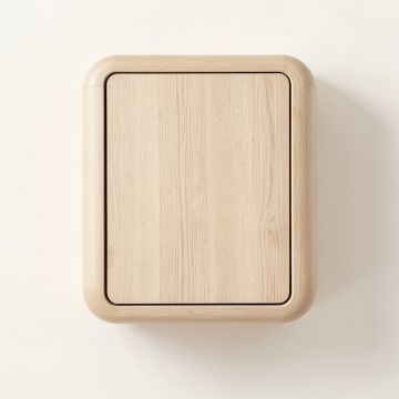 Moss Dale Wall-Mounted Laundry Cabinet - Beige (synthetic illustration; no displayed measurements)
