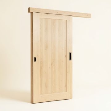Paneled Wood Planum Sliding Closet Door (synthetic illustration; no displayed measurements)