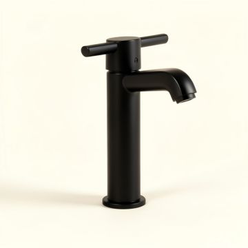 Brass Single Hole Bathroom Faucet (synthetic illustration; no displayed measurements)