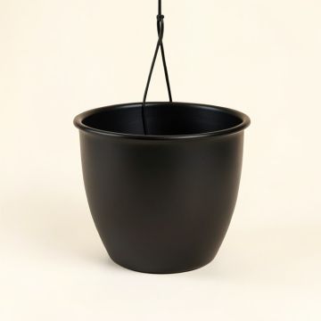 Rodden Metal Hanging Planter (synthetic illustration; no displayed measurements)
