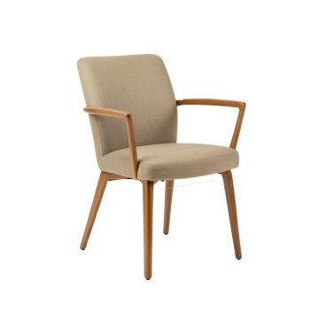 Keeney Contemporary King Louis Back Side Chair In Clear