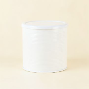 Dune Brook Storage Canister With Lid - White (synthetic illustration; no displayed measurements)