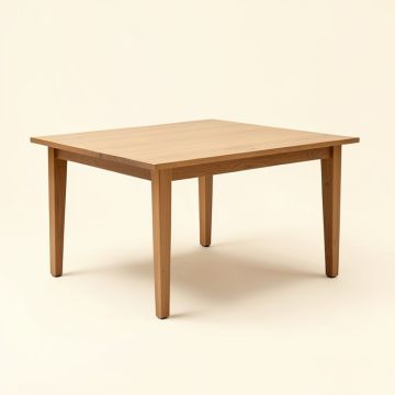 Anna Extendable Dining Table (synthetic illustration; no displayed measurements)