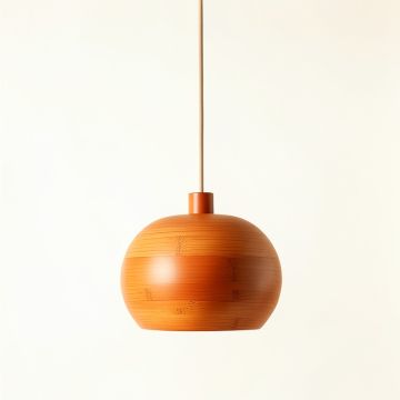 Holly Bend Pendant Light Suspended From One Plain Cable - Terracotta (synthetic illustration; no displayed measurements)