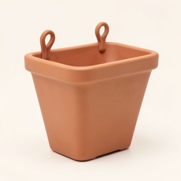 Dawn Canyon Empty Railing Planter With Integral Brackets - Terracotta (synthetic illustration; no displayed measurements)