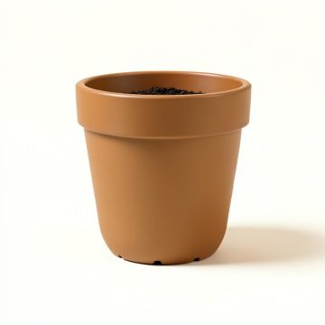 Cubi 1 - Piece Self-Watering Plastic Pot Planter (synthetic illustration; no displayed measurements)