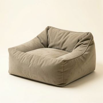 Busy Bee Standard Bean Bag Sofa (synthetic illustration; no displayed measurements)