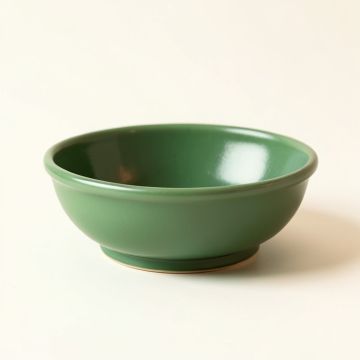 Harbor Dale Dining Bowl - Green (synthetic illustration; no displayed measurements)