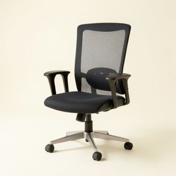 Gayla Mesh Executive Chair (synthetic illustration; no displayed measurements)