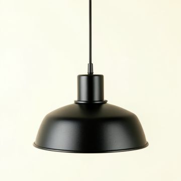 Holly Brook Pendant Light Suspended From One Plain Cable - Black (synthetic illustration; no displayed measurements)