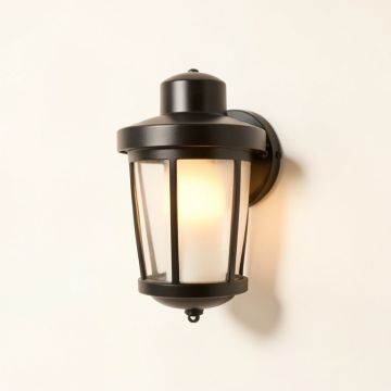 Chestertown 1-Light Outdoor Barn Light (synthetic illustration; no displayed measurements)