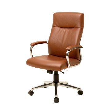 Rachita Task Chair (synthetic illustration; no displayed measurements)