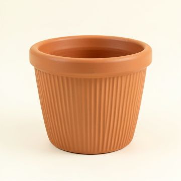 Sage Bluff Empty Planter - Terracotta (synthetic illustration; no displayed measurements)