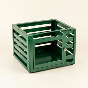 Hazel Crest Empty Furniture-Style Pet Crate - Green (synthetic illustration; no displayed measurements)