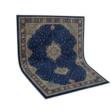 Dulin Oriental Navy Blue Area Rug