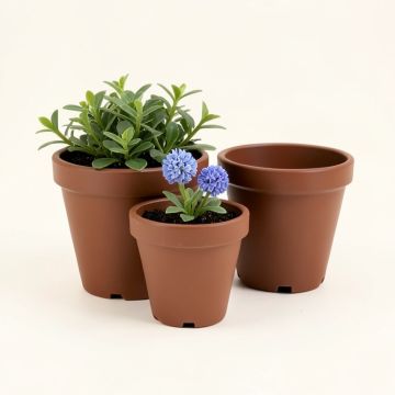 Trym 3 - Piece Water Hyacinth , Steel , And Plastic Pot Planter Set (synthetic illustration; no displayed measurements)