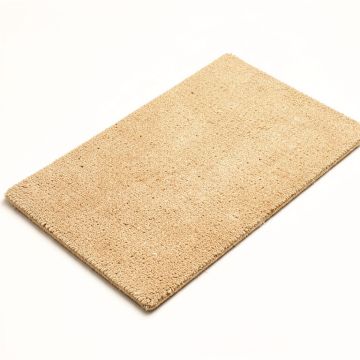 Ahron Home 30 In . X 18 In . Outdoor Door Mat (synthetic illustration; no displayed measurements)