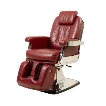 Beauty Spa Salon Barber Chair