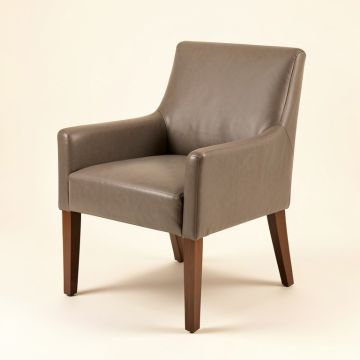 Amrane Upholstered Dining Chair (synthetic illustration; no displayed measurements)