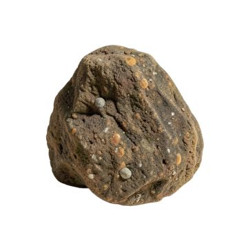 Climbing Rock
