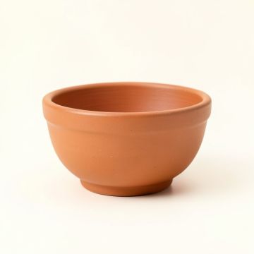 Maple Arc Empty Planter - Terracotta (synthetic illustration; no displayed measurements)