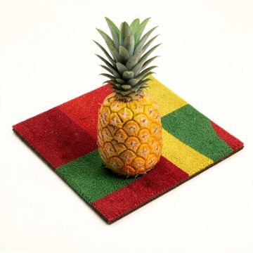 Ashby Pineapple Welcome 29 In . X 17 In . Non-Slip Outdoor Door Mat (synthetic illustration; no displayed measurements)