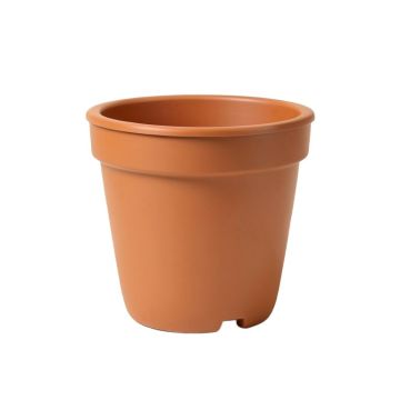 Callan Self-Watering Plastic Pot Planter