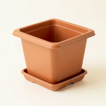 Harbor Brook Empty Planter - Terracotta (synthetic illustration; no displayed measurements)