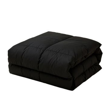 Torain Comforter Set
