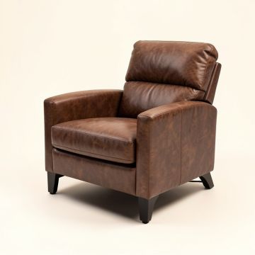 Ajasia 28 '' Wide Faux Leather Power Lift Assist Standard Recliner (synthetic illustration; no displayed measurements)